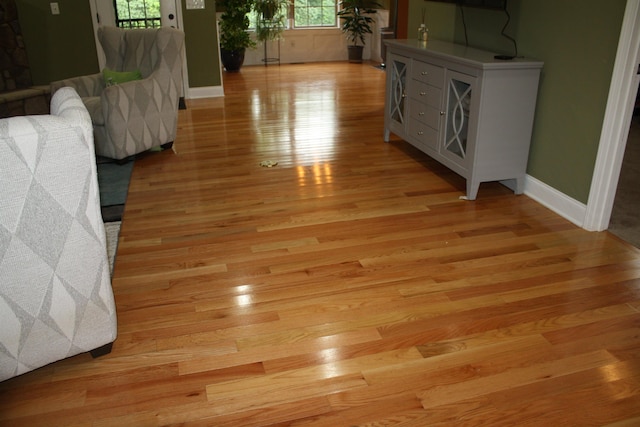 living room with light wood-style flooring and baseboards