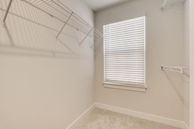 walk in closet featuring carpet