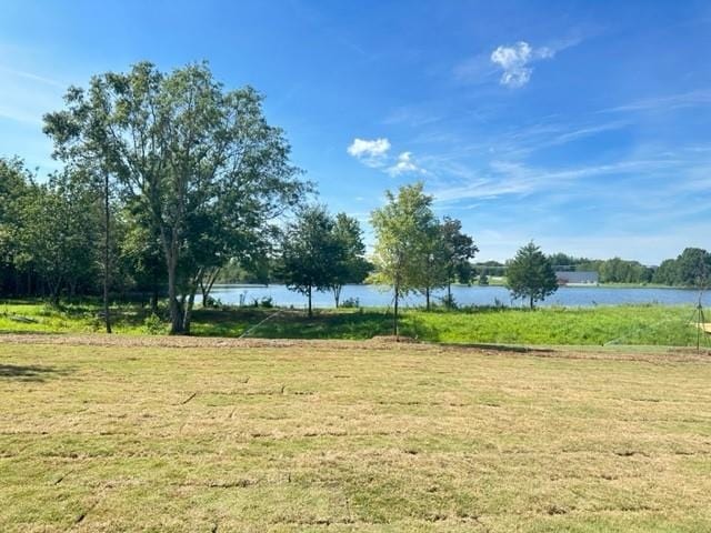 view of yard with a water view