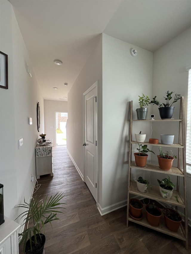 hallway featuring baseboards and wood finished floors