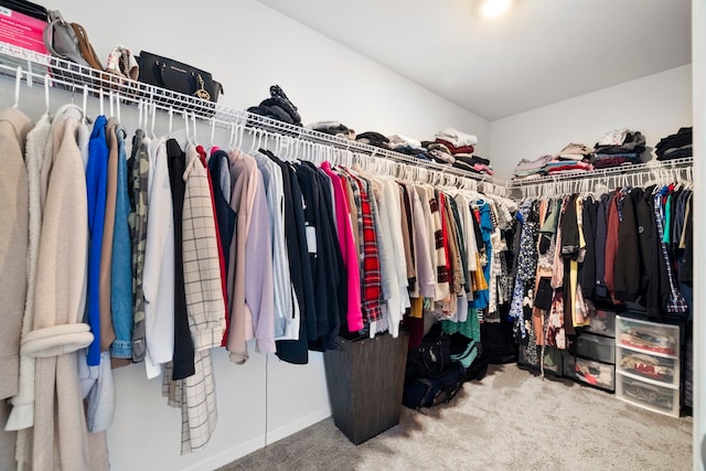 spacious closet featuring carpet flooring