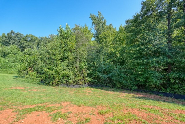 view of yard featuring a view of trees