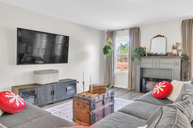 living area with baseboards, wood finished floors, and a glass covered fireplace