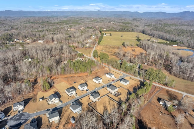 birds eye view of property featuring a mountain view