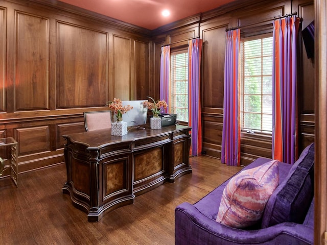 office area with wood walls, dark wood finished floors, and a wealth of natural light