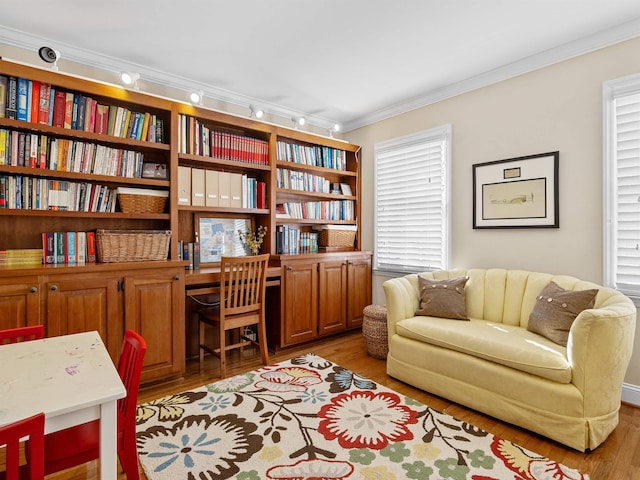 office space featuring light wood-style flooring and ornamental molding