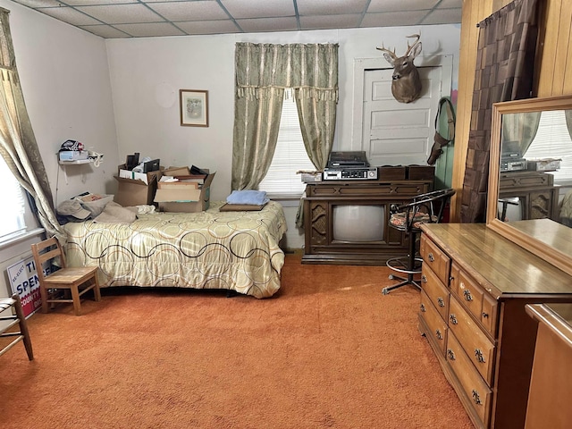 bedroom with carpet, multiple windows, and a drop ceiling