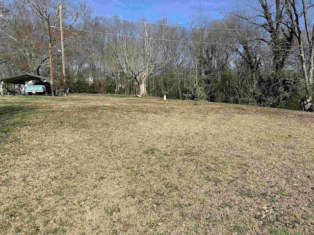 view of yard featuring a carport