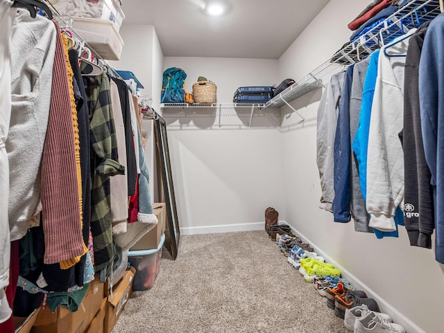 walk in closet featuring carpet flooring