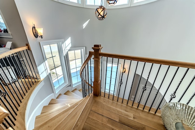 stairs featuring a high ceiling and wood finished floors