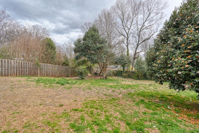 view of yard featuring a fenced backyard