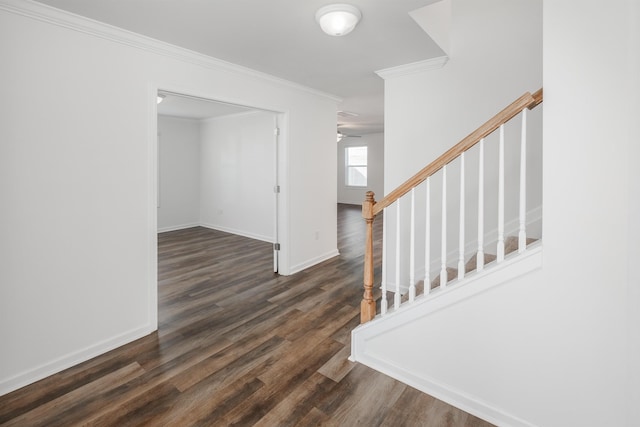 interior space with ornamental molding, a ceiling fan, baseboards, and wood finished floors