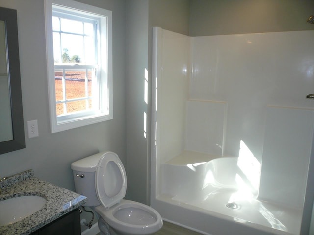 full bathroom featuring vanity and toilet