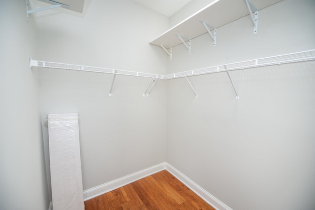 spacious closet featuring wood finished floors