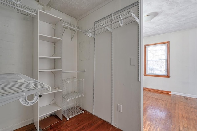 spacious closet featuring wood-type flooring