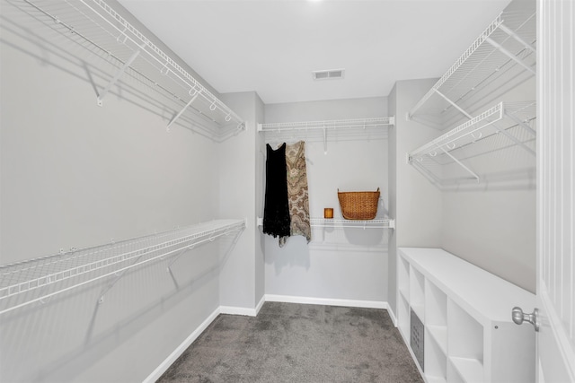 spacious closet featuring carpet flooring and visible vents