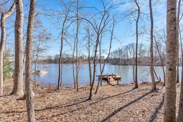 property view of water