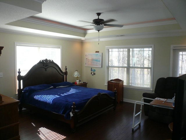 bedroom featuring wood finished floors, multiple windows, and a raised ceiling