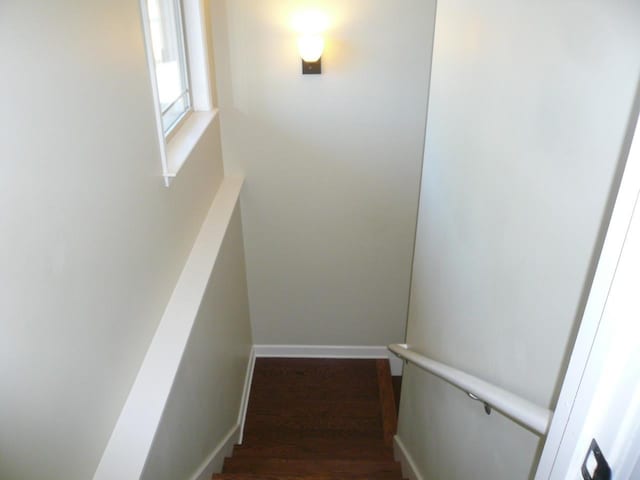 stairway with baseboards and wood finished floors