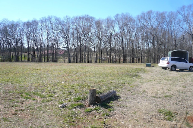 view of yard with a carport