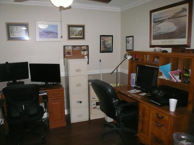 office space featuring dark wood-style floors and crown molding