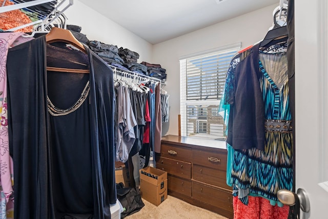 walk in closet featuring carpet floors