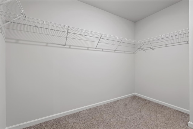 spacious closet with carpet flooring