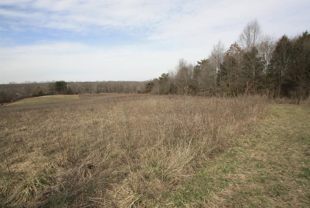 view of local wilderness featuring a rural view