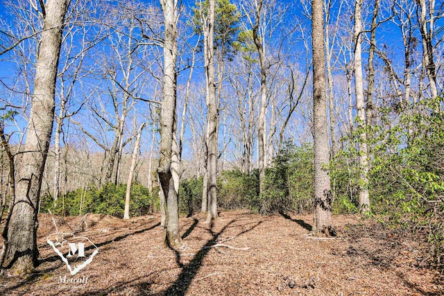 Listing photo 2 for 0 Club Rd, Tryon NC 28782