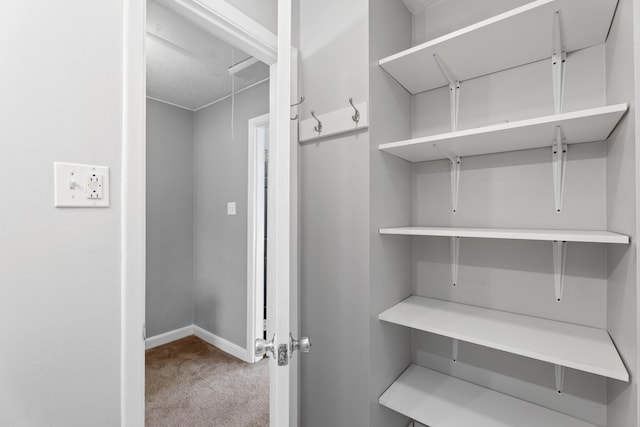 walk in closet with attic access and carpet