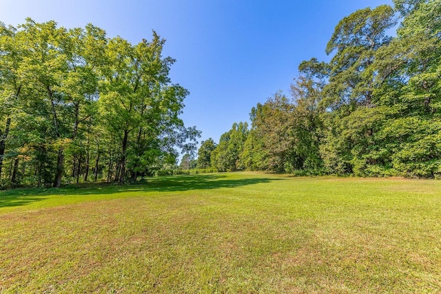 view of yard featuring a forest view