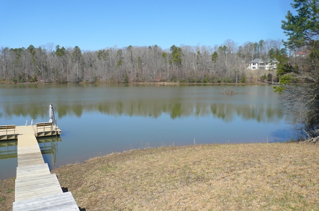 dock area featuring a view of trees and a water view