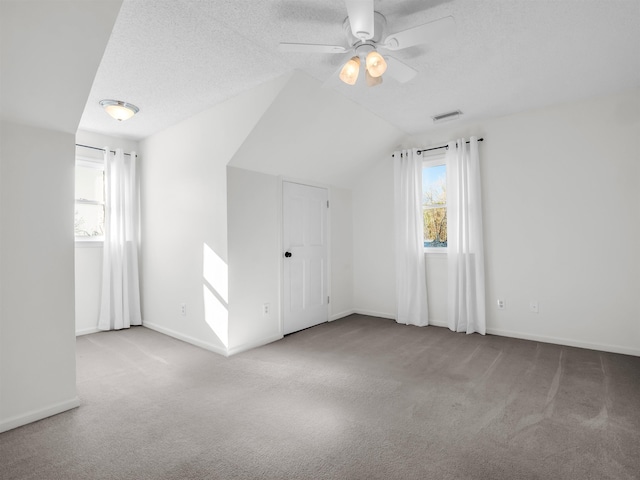 additional living space featuring lofted ceiling, carpet flooring, visible vents, and a textured ceiling