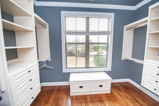 spacious closet featuring dark wood-style flooring