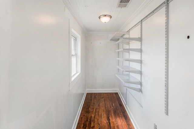 walk in closet featuring visible vents and wood finished floors