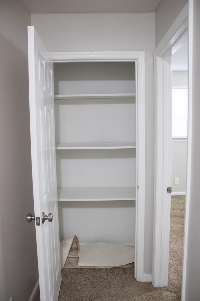 view of closet