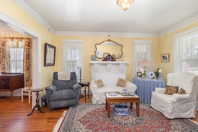 living area featuring crown molding and wood finished floors