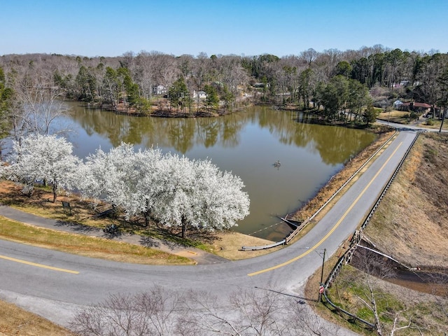 birds eye view of property featuring a water view and a wooded view