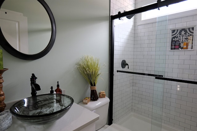 full bathroom with vanity, a shower stall, and toilet