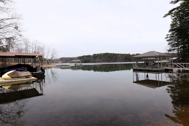 dock area with a water view