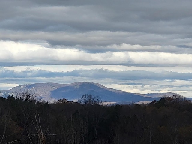 view of mountain feature with a wooded view