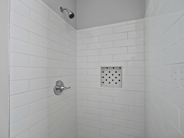 interior details featuring a tile shower