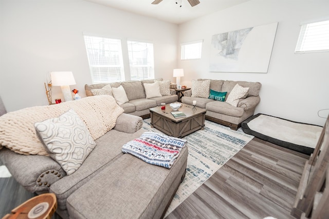 living room with a ceiling fan and wood finished floors