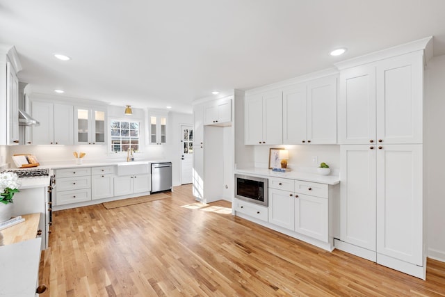 kitchen featuring a sink, stainless steel appliances, light wood-style floors, and white cabinetry