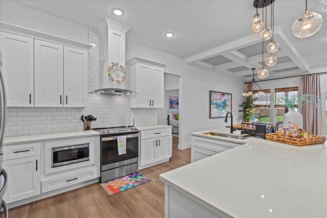 kitchen featuring tasteful backsplash, light wood-style flooring, appliances with stainless steel finishes, wall chimney exhaust hood, and a sink