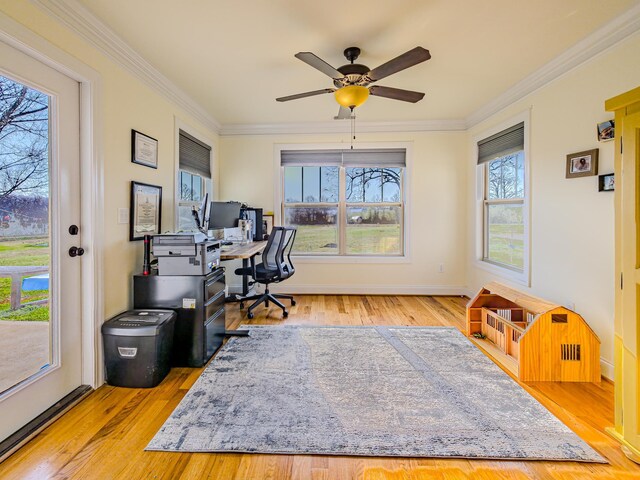 office space with baseboards, crown molding, ceiling fan, and wood finished floors