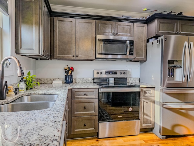 kitchen featuring light wood finished floors, dark brown cabinetry, stainless steel appliances, and a sink