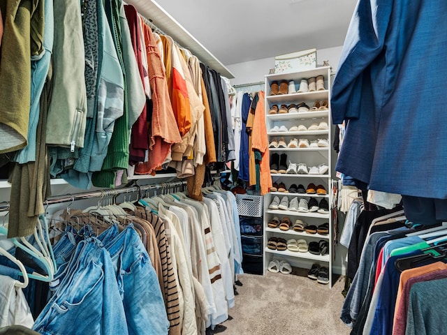 walk in closet featuring carpet