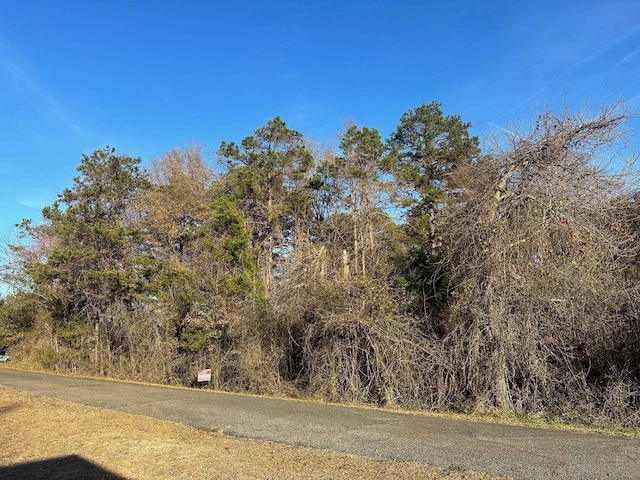 0 Blue Bird, Chesnee, SC 29323