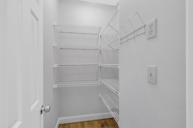 spacious closet featuring wood finished floors